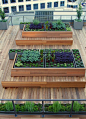 Custom-built steel planters nestle into raised wooden beds that double as bench seating.