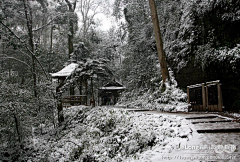 Talentlv采集到雪舞青城_青城山, 1989月