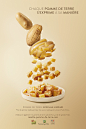 CNIPT - Caroline Faccioli, photographe culinaire