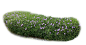 翠芦莉-1