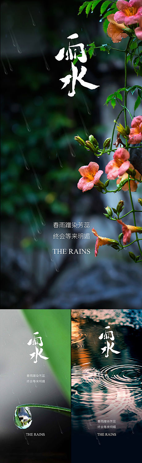 雨水节气系列海报-源文件