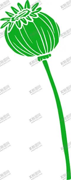 花形状 【酷图网】花,鲜花,花卉,手绘花卉,手绘花卉框架,线条花,角花,花纹,玫瑰花,太阳花,花苞,花骨朵,花型,花心,花形状,线条画,素描花,花朵
