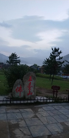 淡淡丫采集到走过路过错过