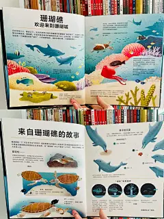 海洋科普| BBC纪录片的完美绘本版