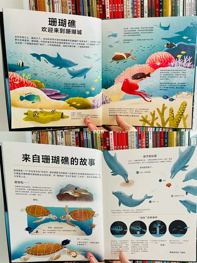 海洋科普| BBC纪录片的完美绘本版
