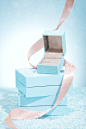 Sweet Box for PRECITA _背景_T20201013