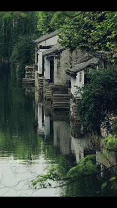 麦田里的小松鼠采集到在那遥远的小山村