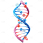 3D基因系列彩色染色体贴纸