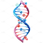 3D基因系列彩色染色体贴纸