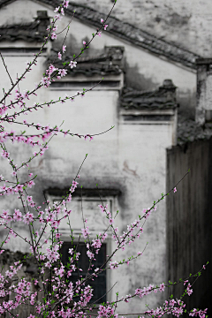 我就爱看书采集到意向图