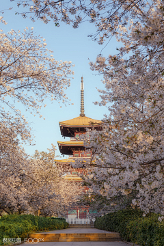 3NQIro3O采集到风景