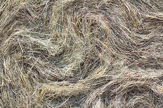 Haybale