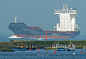 Ships on the Tees-BG Rotterdam-2 | Flickr - Photo Sharing!