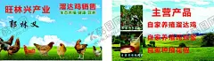溜达鸡名片 【酷图网】农产品,名片,天然,无公害,溜达鸡
