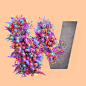 Behance 上的 Flower 3D Typography Animation