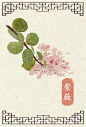 紫薇