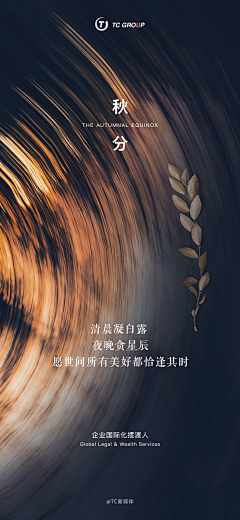 Thanshao采集到TC GROUP