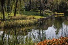 小阿米设计师采集到A-景观-滨水景观