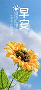 早安问候（7082）
