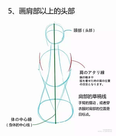 薏格采集到人体 光影