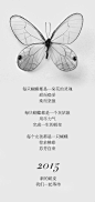 “等待蜕变” 婉甸2015春装主题订货会-中国品牌服装网