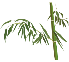 醉笔山人采集到禅意