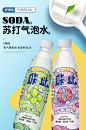 花蜜家0糖0卡0脂肪白桃/白葡萄 口味气泡饮料弱碱苏打气泡水360ml*6整箱-淘宝网