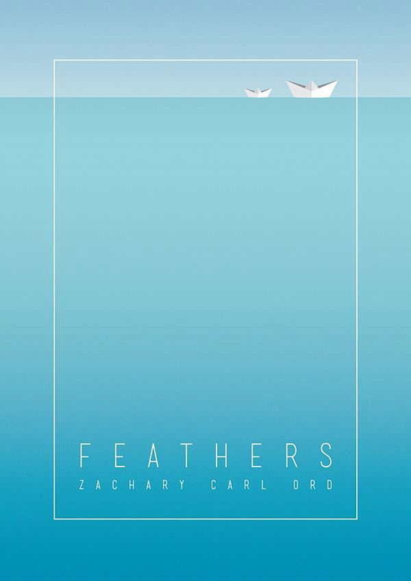 Feathers by James Br...