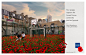 The Royal British Legion: Poppy, 4