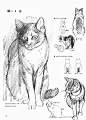 动物的画法日本漫画手绘技法经典教程 速写画法 零基础学画漫画素-淘宝网