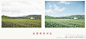#Lightroom# 【第138期】阴天拍的照片灰蒙蒙不好看怎么办， 教你如何用lightroom挽救阴天天空，做出日系电影感觉的照片。值得借鉴，转需~（摄影，后期@lightroom ）