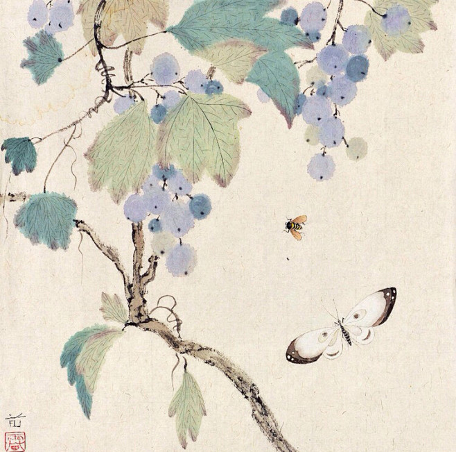 雷苗花鸟欣赏