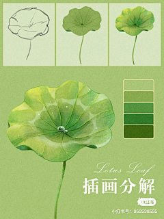 芊芊媛采集到手绘