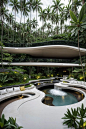 This may contain: an outdoor pool surrounded by palm trees and greenery