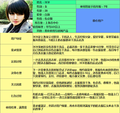 roxcy3采集到用户画像