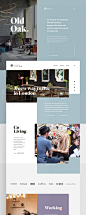 The Collective - Old Oak : Creative direction and UI design for the Old Oak new website.