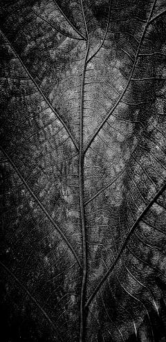 oppor11s等全面屏手机2K高清壁纸，值得收藏！