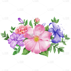 小行星♂采集到花