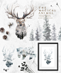 唯美冬季自然森林动物枝叶棉花植物装饰图案手绘PNG免抠设计素材