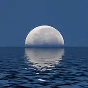 鱼叁岁