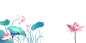国风荷花