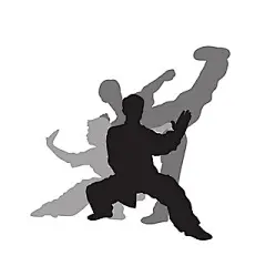 武术剪影人物元素GIF动态图武术元素[gif]