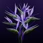 3D birdofparadise CGI cinema 4d Flora flower Plant redshift Render visualization