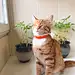 微笑513