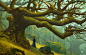 World Of Witch  -02