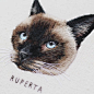 I couldn’t post sweet Ruperta until now as she was a Christmas present! I hadn’t embroidered this breed before but I was so happy with how my blending of colours turned out! I’ve also been thinking....how amazing is it, that out of all of these pet portra