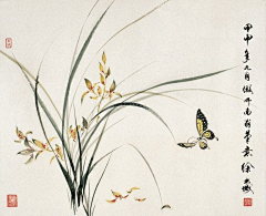爱吃波板糖采集到国画  兰