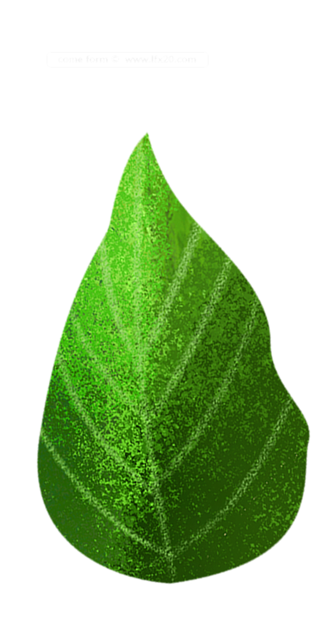 [ 乐分享 ] PNG高清免扣植物 ww...