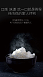 【2016新米】崇明岛大米10Kg（20斤） 大米新米包邮香米 粳米-tmall.com天猫