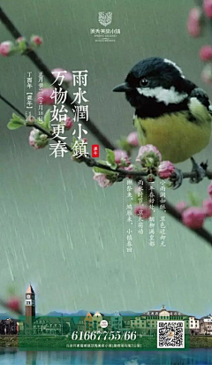 Aure_Q采集到雨水